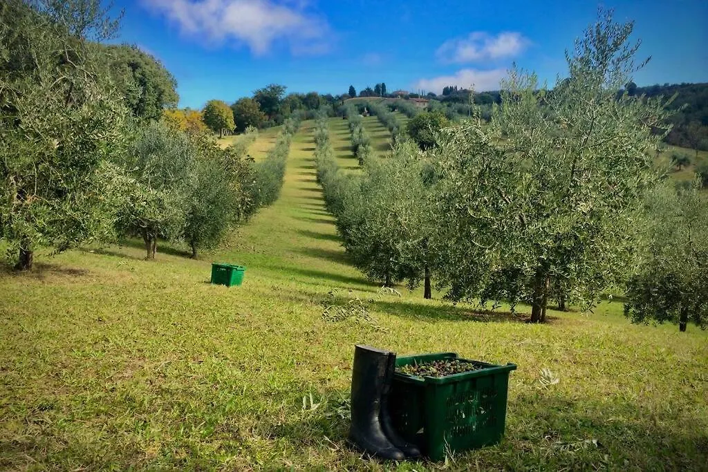 فيلة La Casina Della Quercia, Your Tuscan Oak Tree House Osteria Delle Noci